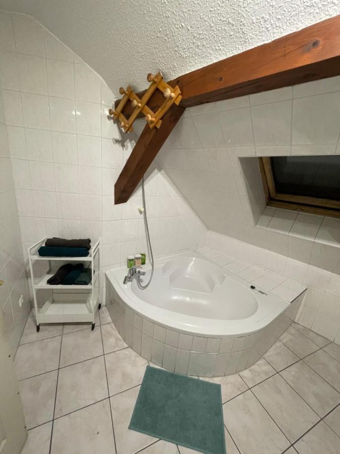 Colmar Charmant Logement Bagian luar foto
